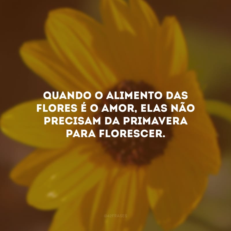 Quando o alimento das flores é o amor, elas não precisam da primavera para florescer.