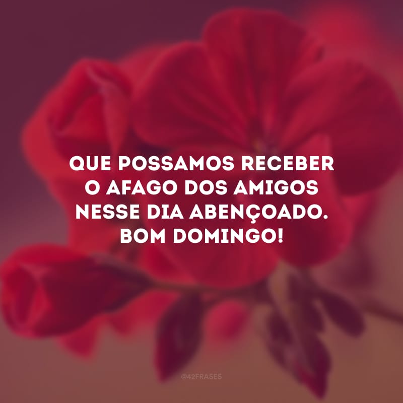 Que possamos receber o afago dos amigos nesse dia abençoado. Bom domingo!