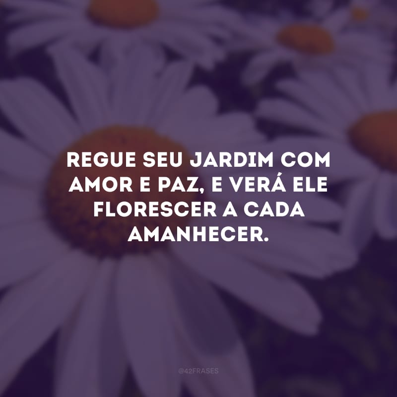 Regue seu jardim com amor e paz, e verá ele florescer a cada amanhecer.