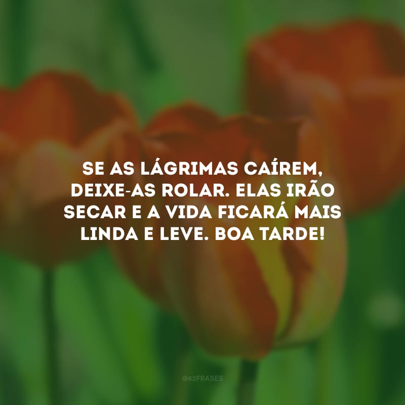 Se as lágrimas caírem, deixe-as rolar. Elas irão secar e a vida ficará mais linda e leve. Boa tarde!