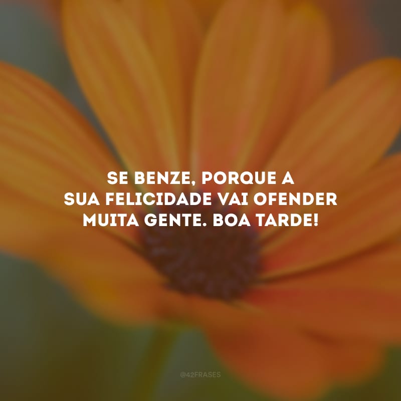 Se benze, porque a sua felicidade vai ofender muita gente. Boa tarde!