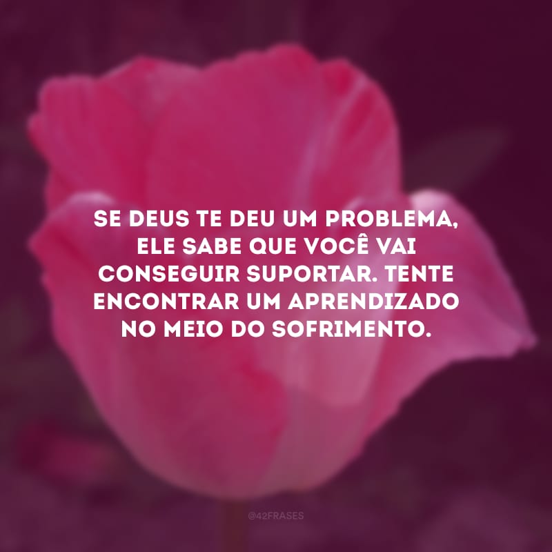 Se Deus te deu um problema, Ele sabe que você vai conseguir suportar. Tente encontrar um aprendizado no meio do sofrimento.