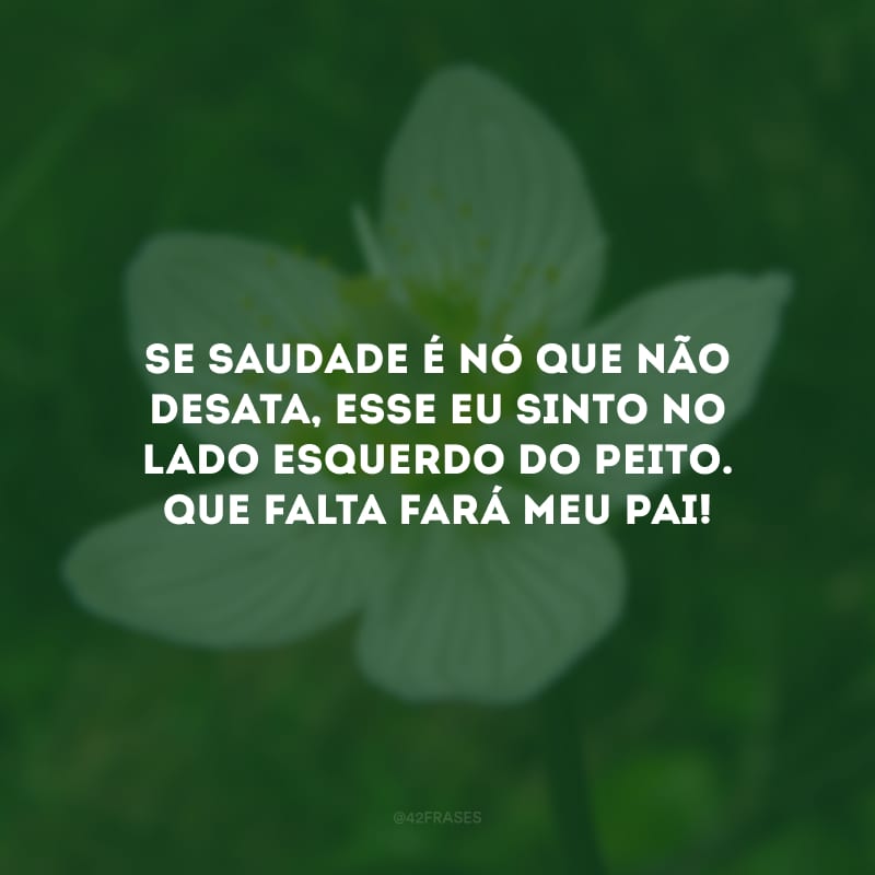 Se saudade é nó que não desata, esse eu sinto no lado esquerdo do peito. Que falta fará meu pai!