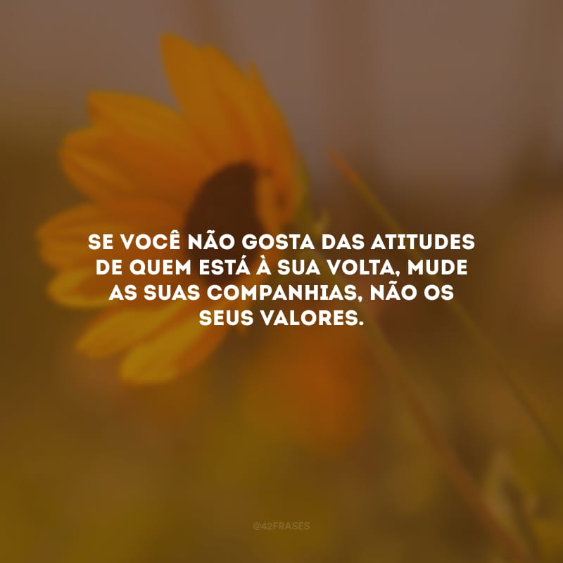 Se você não gosta das atitudes de quem está à sua volta, mude as suas companhias, não os seus valores.