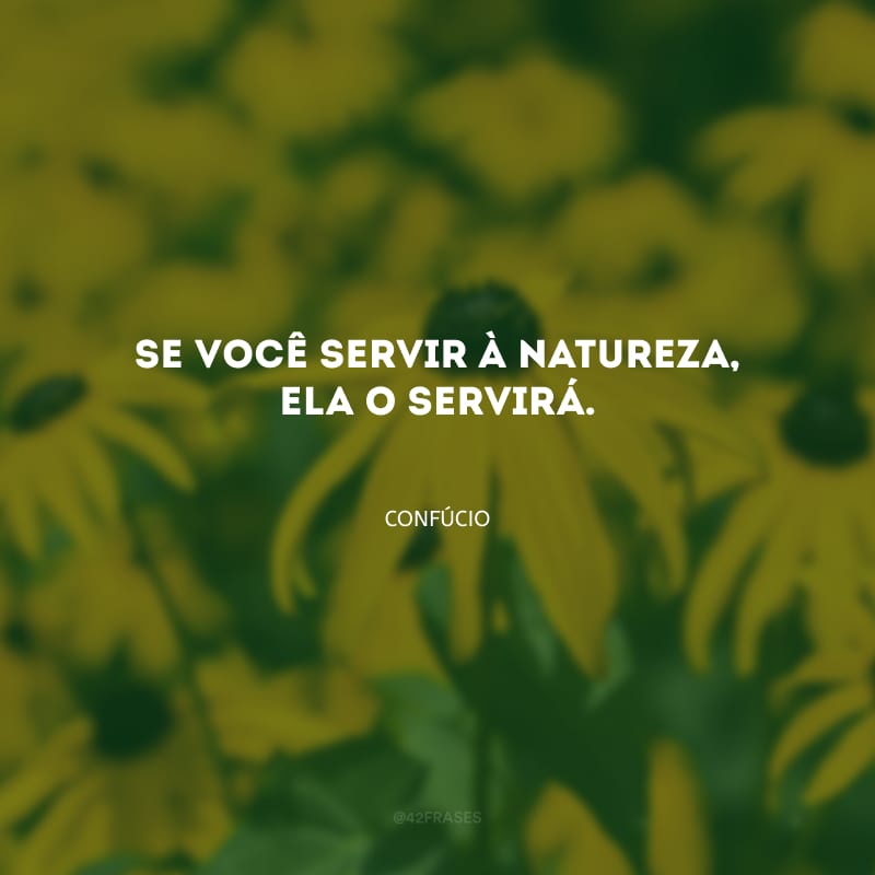 Se você servir à natureza, ela o servirá.
