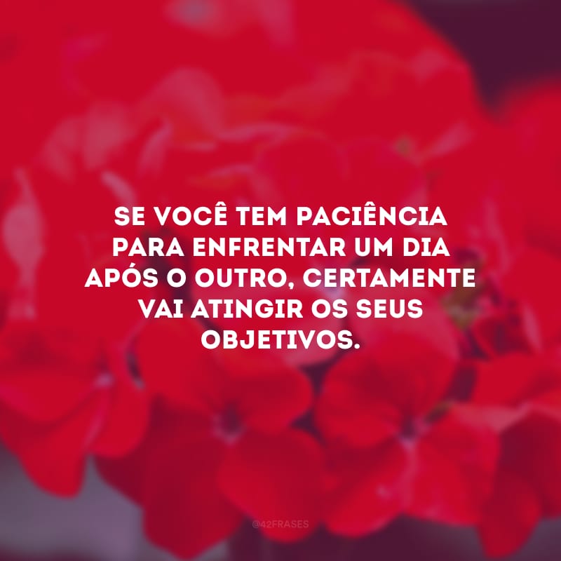 Se você tem paciência para enfrentar um dia após o outro, certamente vai atingir os seus objetivos.