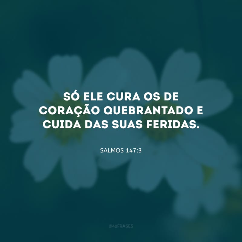 Só ele cura os de coração quebrantado e cuida das suas feridas.