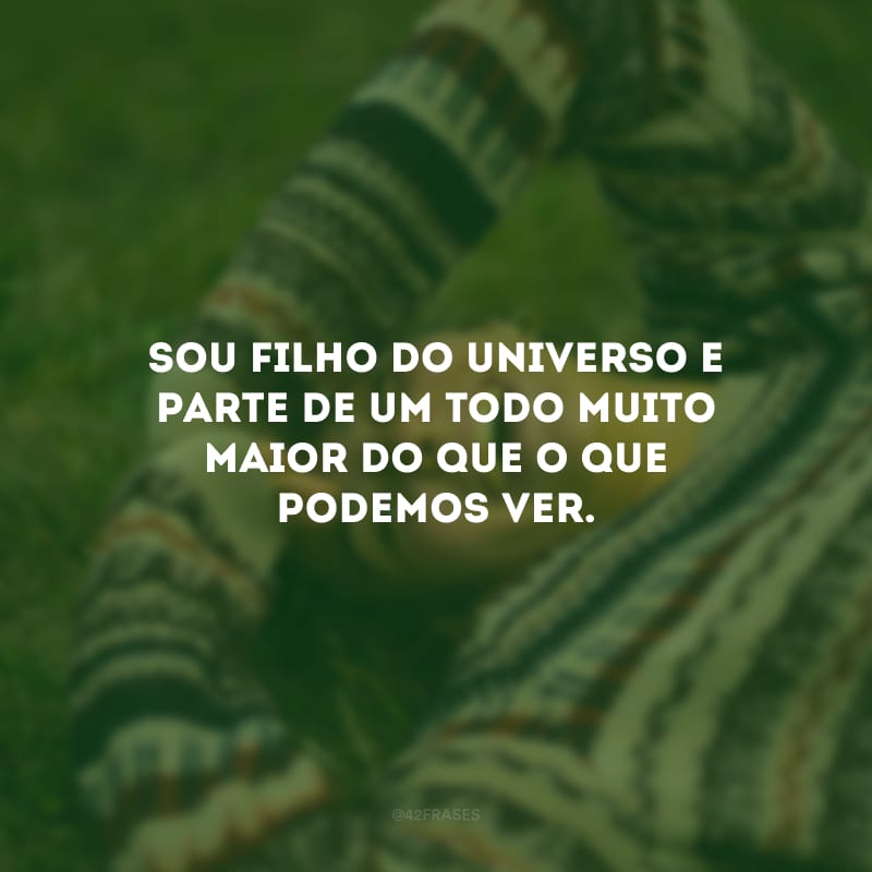 Sou filho do Universo e parte de um Todo muito maior do que o que podemos ver. 