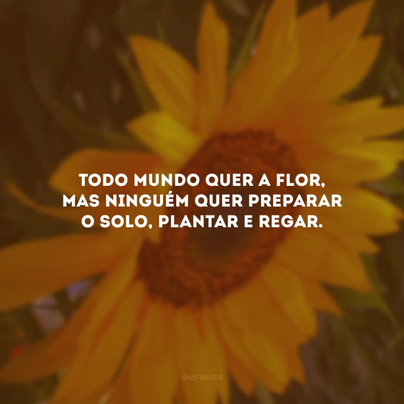 Todo mundo quer a flor, mas ninguém quer preparar o solo, plantar e regar.