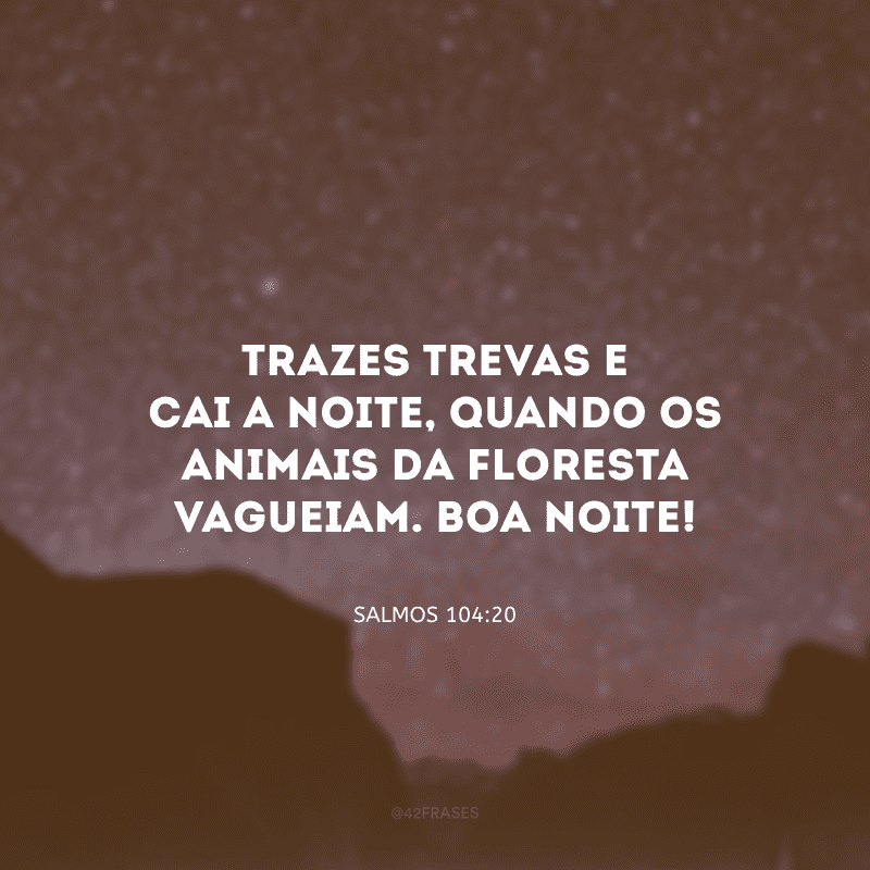 Trazes trevas e cai a noite, quando os animais da floresta vagueiam. Boa noite!