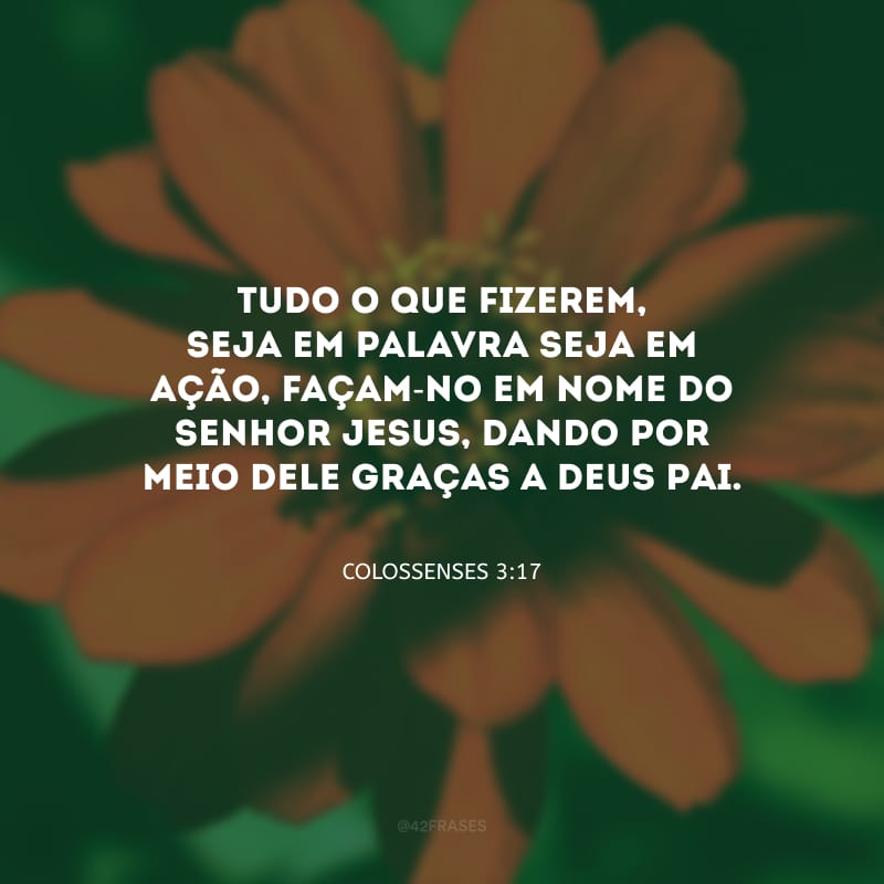 Tudo o que fizerem, seja em palavra seja em ação, façam-no em nome do Senhor Jesus, dando por meio dele graças a Deus Pai.