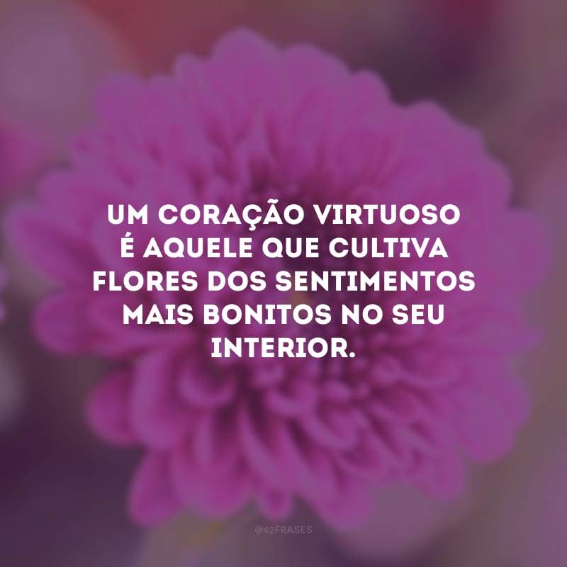 Um coração virtuoso é aquele que cultiva flores dos sentimentos mais bonitos no seu interior.