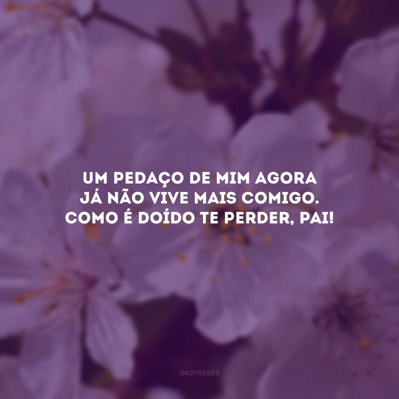 Um pedaço de mim agora já não vive mais comigo. Como é doído te perder, pai!