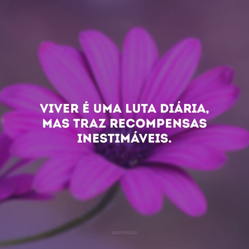 Viver é uma luta diária, mas traz recompensas inestimáveis. 