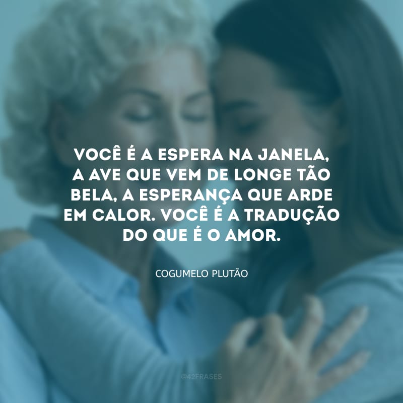 Você é a espera na janela, a ave que vem de longe tão bela, a esperança que arde em calor. Você é a tradução do que é o amor.