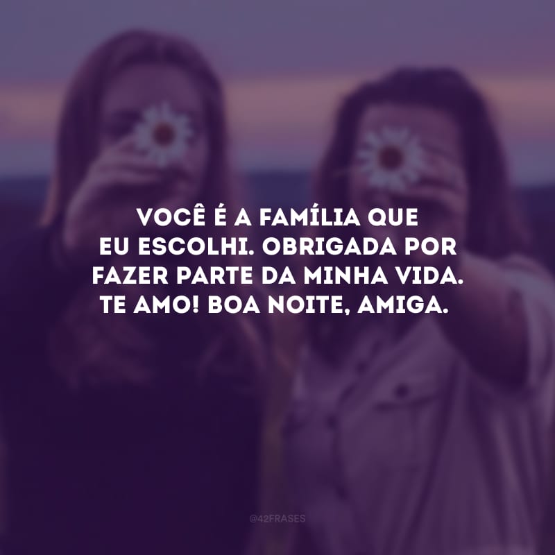 Você é a família que eu escolhi. Obrigada por fazer parte da minha vida. Te amo! Boa noite, amiga.
