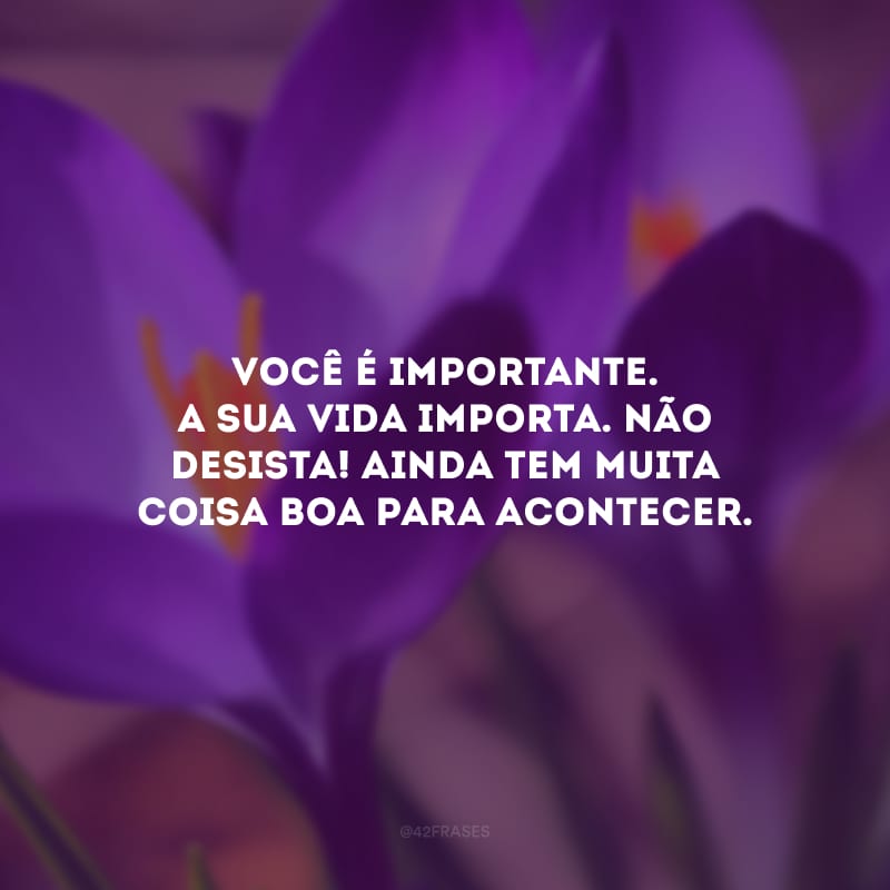 Você é importante. A sua vida importa. Não desista! Ainda tem muita coisa boa para acontecer. 