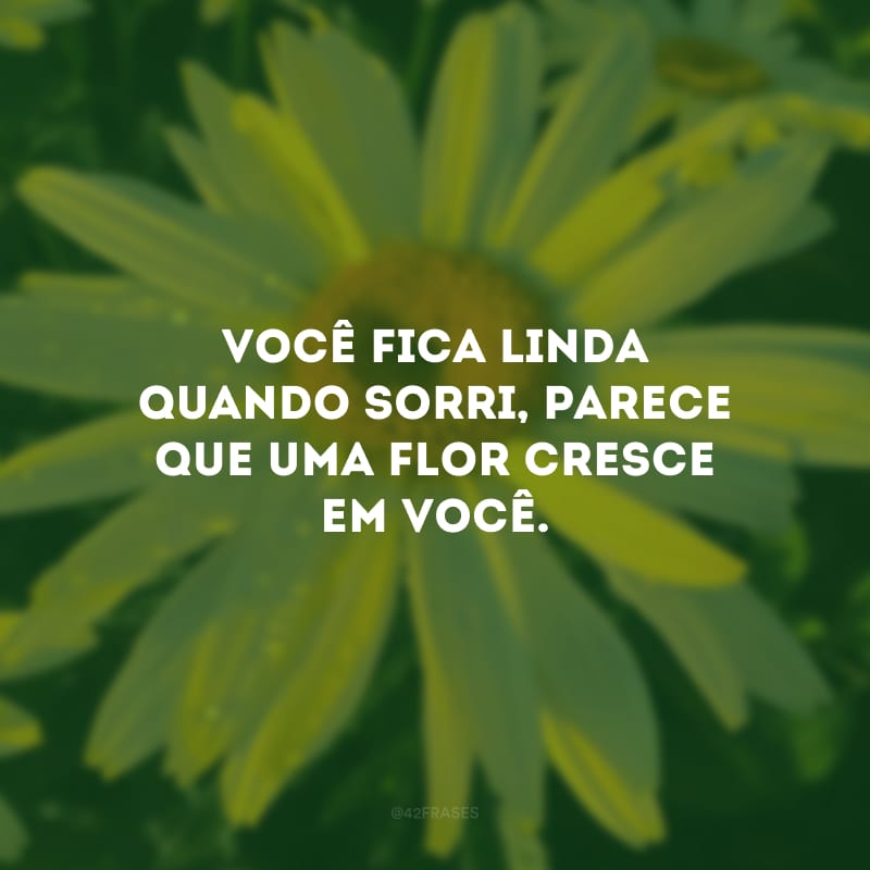 Você fica linda quando sorri, parece que uma flor cresce em você.