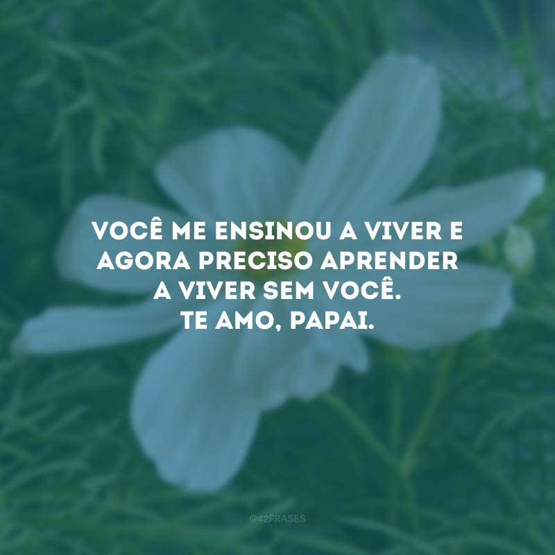 Você me ensinou a viver e agora preciso aprender a viver sem você. Te amo, papai.