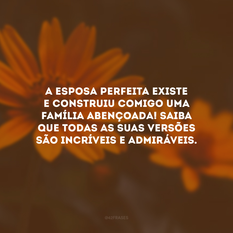 A esposa perfeita existe e construiu comigo uma família abençoada! Saiba que todas as suas versões são incríveis e admiráveis.