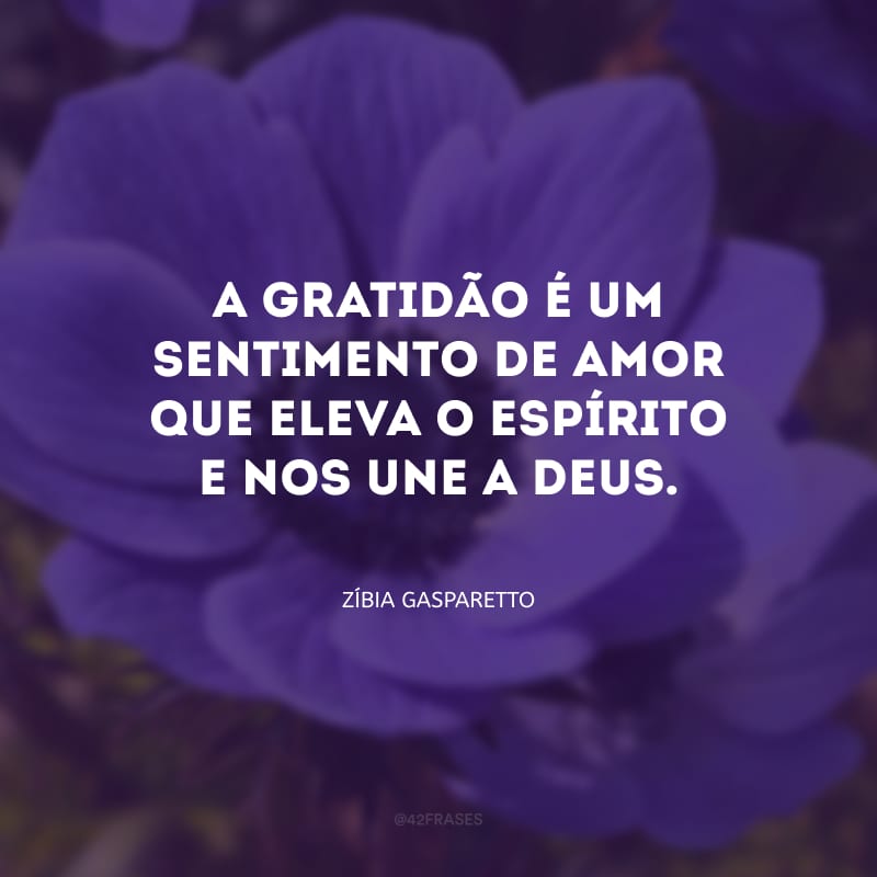 A gratidão é um sentimento de amor que eleva o espírito e nos une a Deus.