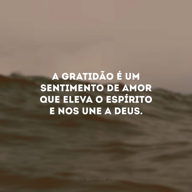 A gratidão é um sentimento de amor que eleva o espírito e nos une a Deus.