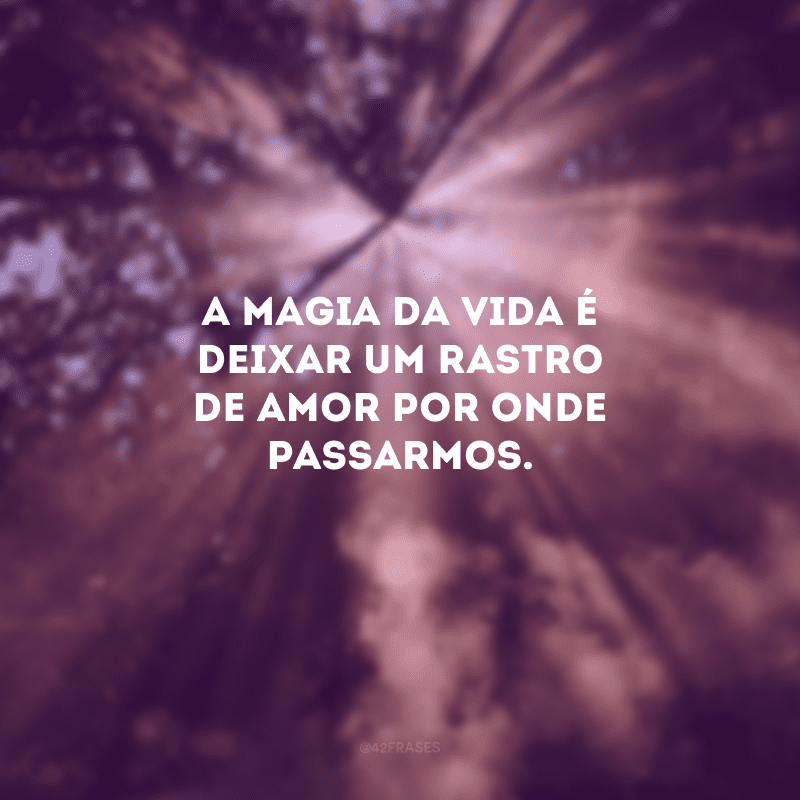 A magia da vida é deixar um rastro de amor por onde passarmos.