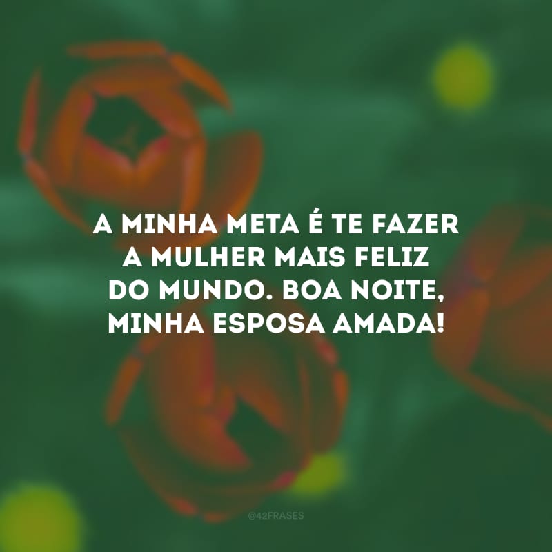 A minha meta é te fazer a mulher mais feliz do mundo. Boa noite, minha esposa amada!