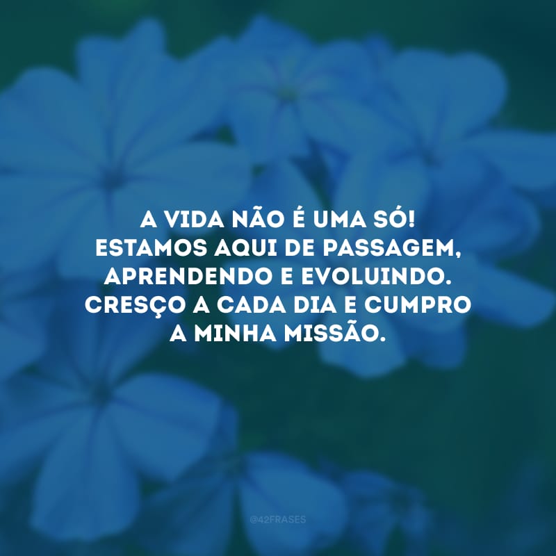 A vida não é uma só! Estamos aqui de passagem, aprendendo e evoluindo. Cresço a cada dia e cumpro a minha missão.