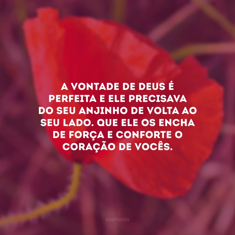 A vontade de Deus é perfeita e Ele precisava do seu anjinho de volta ao seu lado. Que Ele os encha de força e conforte o coração de vocês.