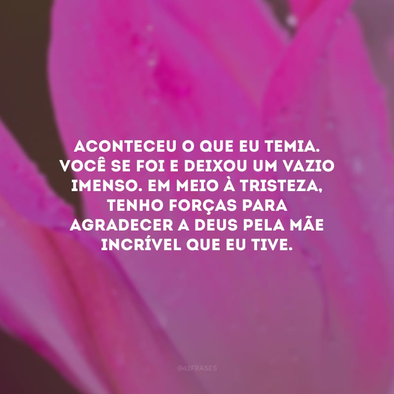 Aconteceu o que eu temia. Você se foi e deixou um vazio imenso. Em meio à tristeza, tenho forças para agradecer a Deus pela mãe incrível que eu tive.