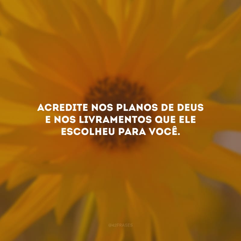 Acredite nos planos de Deus e nos livramentos que Ele escolheu para você.