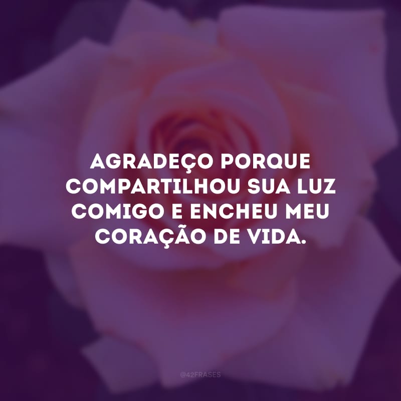 Agradeço porque compartilhou sua luz comigo e encheu meu coração de vida.