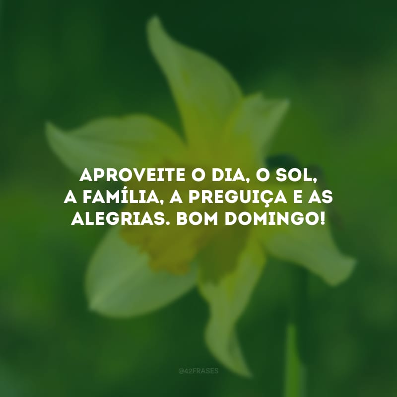 Aproveite o dia, o sol, a família, a preguiça e as alegrias. Bom domingo!