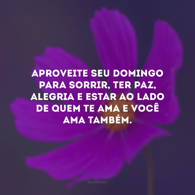 Aproveite seu domingo para sorrir, ter paz, alegria e estar ao lado de quem te ama e você ama também.