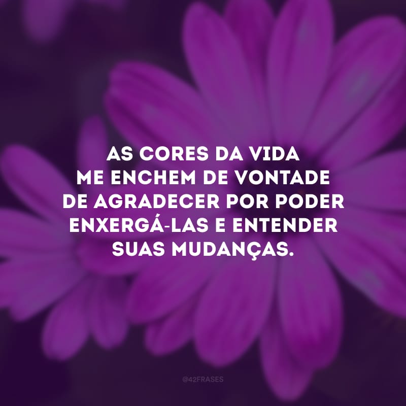 As cores da vida me enchem de vontade de agradecer por poder enxergá-las e entender suas mudanças.