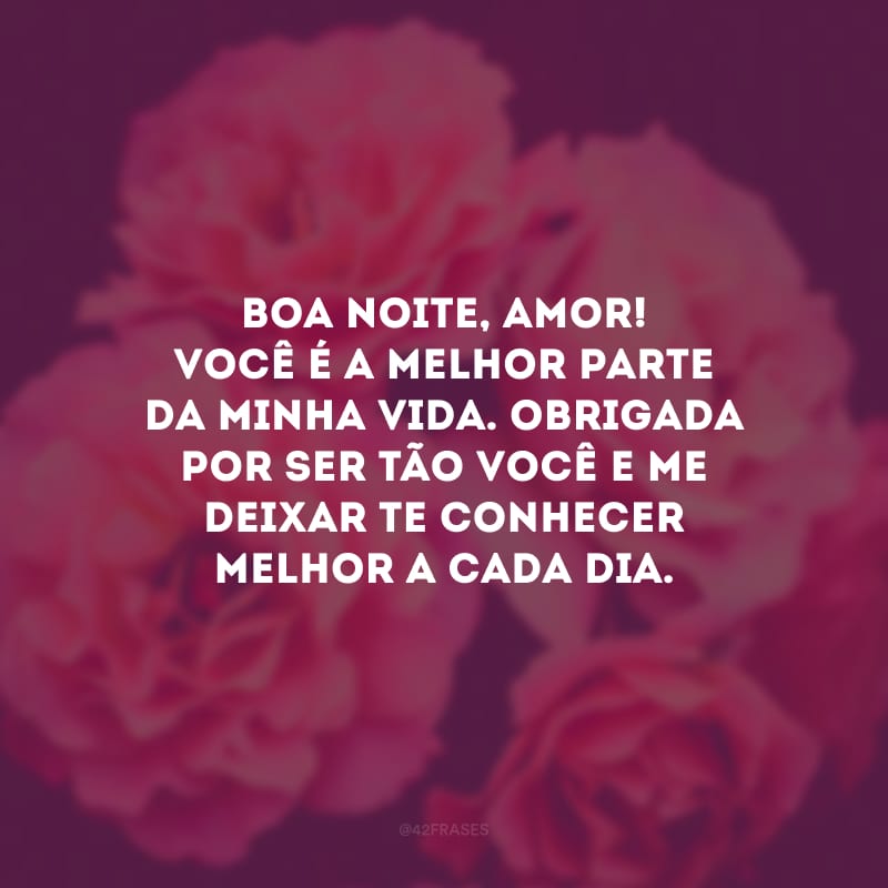 Boa noite, amor! Você é a melhor parte da minha vida. Obrigada por ser tão você e me deixar te conhecer melhor a cada dia.