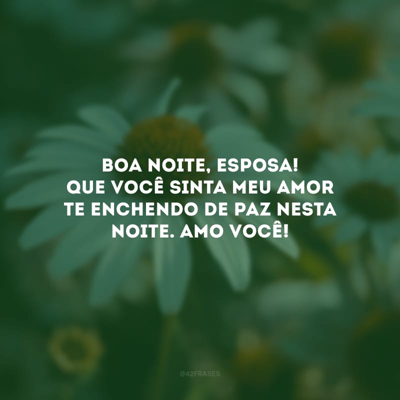 Boa noite, esposa! Que você sinta meu amor te enchendo de paz nesta noite. Amo você!