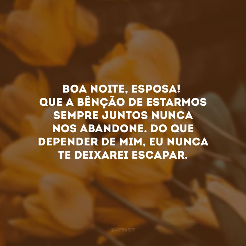 Boa noite, esposa! Que a bênção de estarmos sempre juntos nunca nos abandone. Do que depender de mim, eu nunca te deixarei escapar.