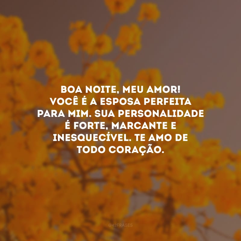 Boa noite, meu amor! Você é a esposa perfeita para mim. Sua personalidade é forte, marcante e inesquecível. Te amo de todo coração.