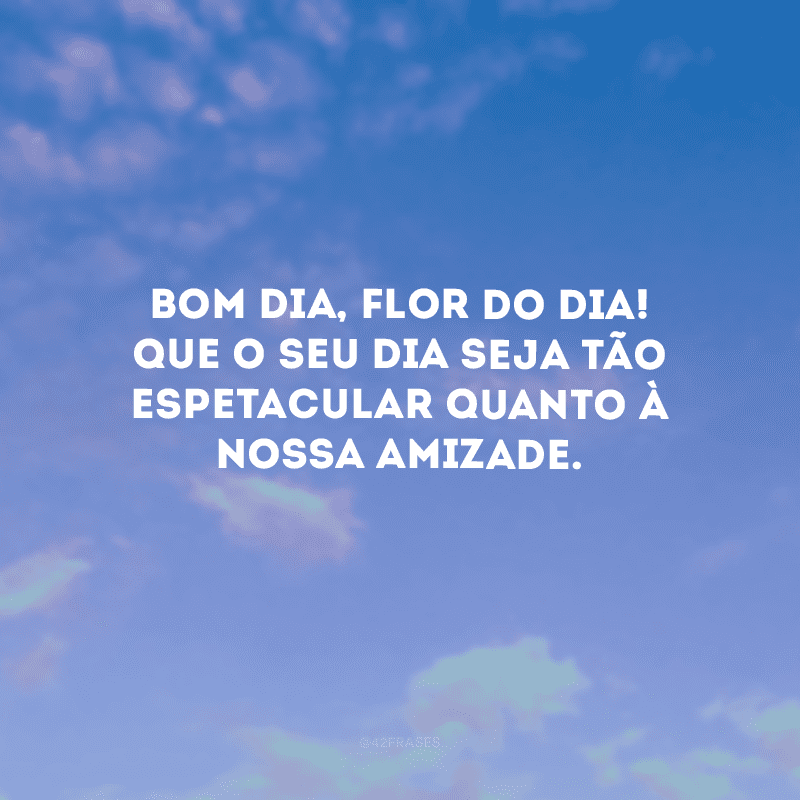 Bom dia, flor do dia! Que o seu dia seja tão espetacular quanto à nossa amizade.