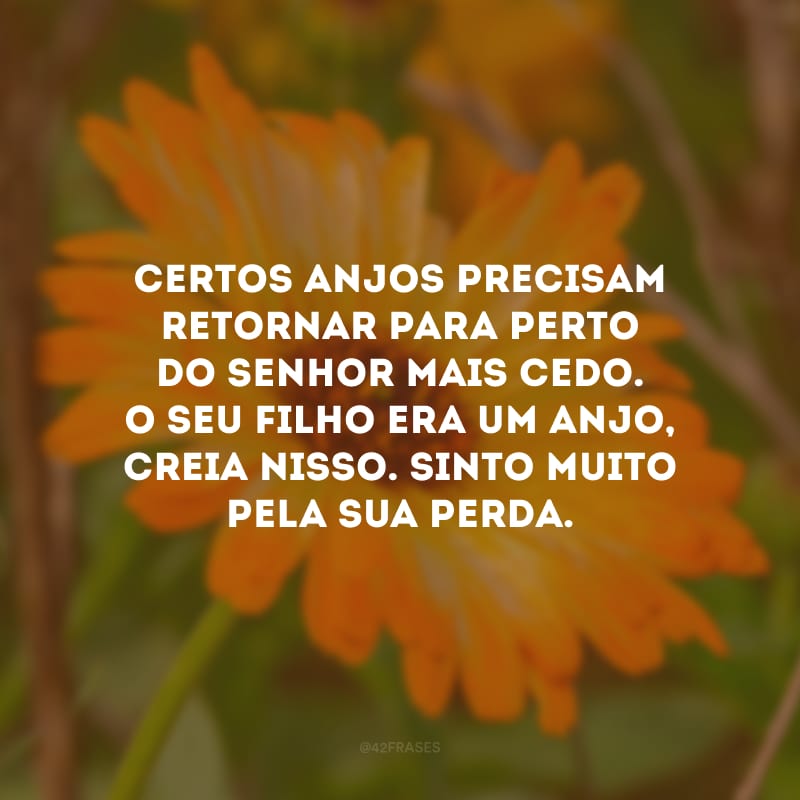 Certos anjos precisam retornar para perto do Senhor mais cedo. O seu filho era um anjo, creia nisso. Sinto muito pela sua perda.