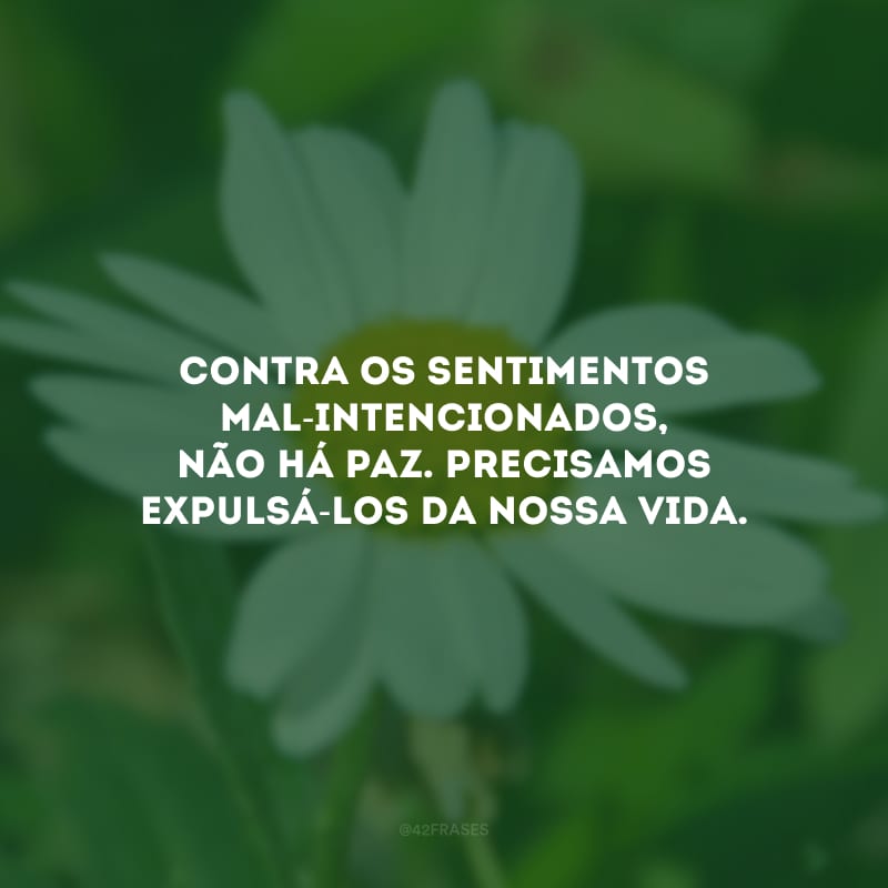 Contra os sentimentos mal-intencionados, não há paz. Precisamos expulsá-los da nossa vida.