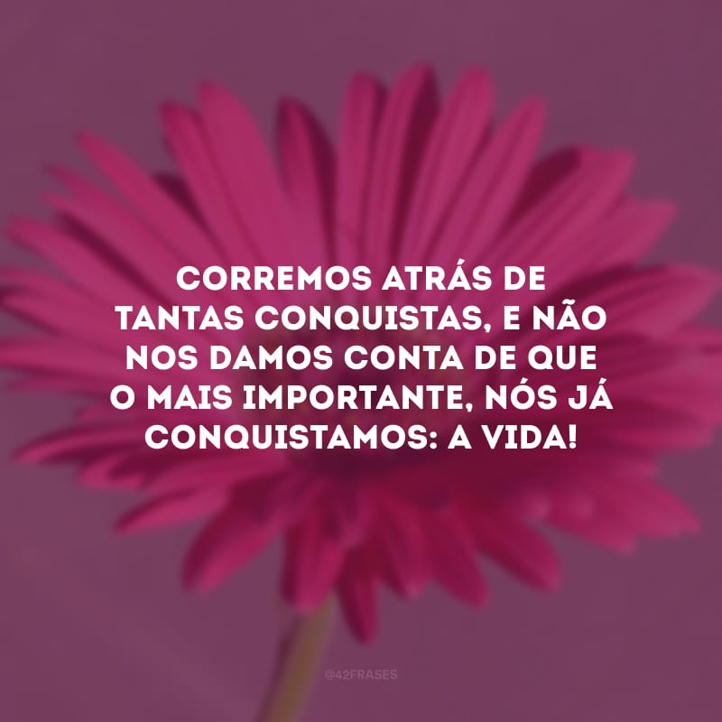 Corremos atrás de tantas conquistas, e não nos damos conta de que o mais importante, nós já conquistamos: a vida! 