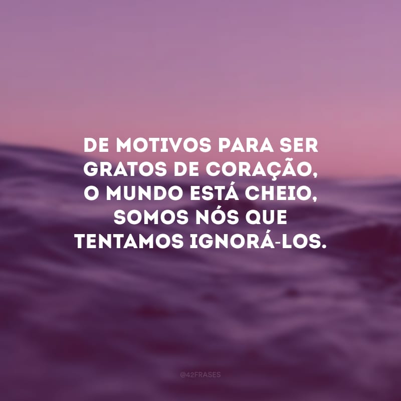 De motivos para ser gratos de coração, o mundo está cheio, somos nós que tentamos ignorá-los.