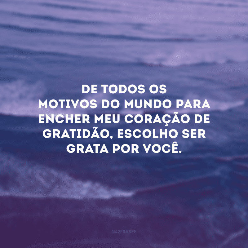 De todos os motivos do mundo para encher meu coração de gratidão, escolho ser grata por você.