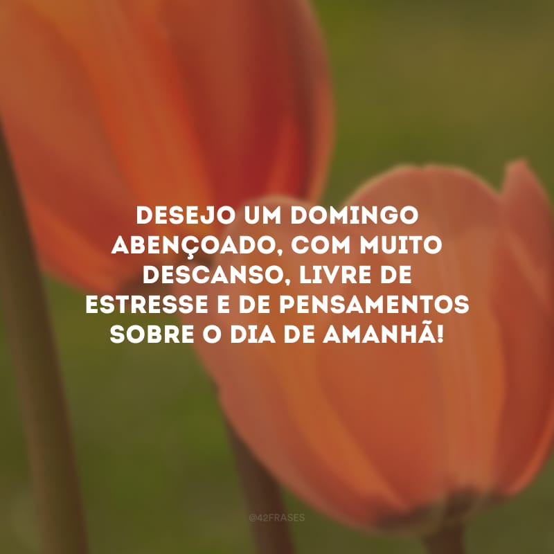 Desejo um domingo abençoado, com muito descanso, livre de estresse e de pensamentos sobre o dia de amanhã!