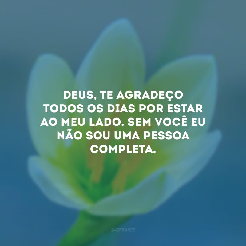 Deus, te agradeço todos os dias por estar ao meu lado. Sem você eu não sou uma pessoa completa.