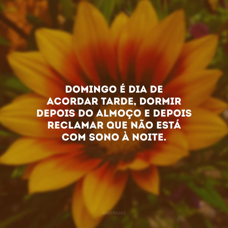 Domingo é dia de acordar tarde, dormir depois do almoço e depois reclamar que não está com sono à noite.