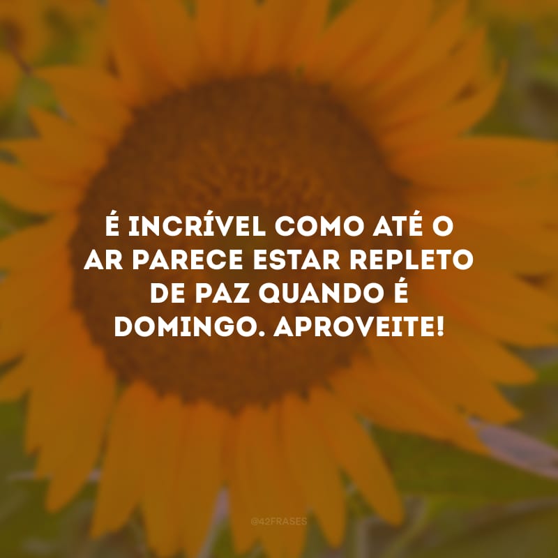 É incrível como até o ar parece estar repleto de paz quando é domingo. Aproveite!